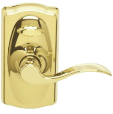 Schlage Electronic Keypad Accent Lever Electronic Lockset Elect Bb Int