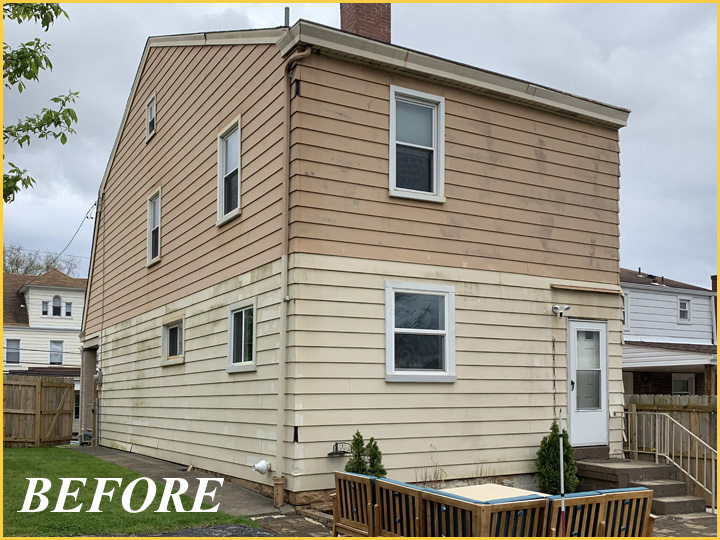 Mt. Washington (Before)